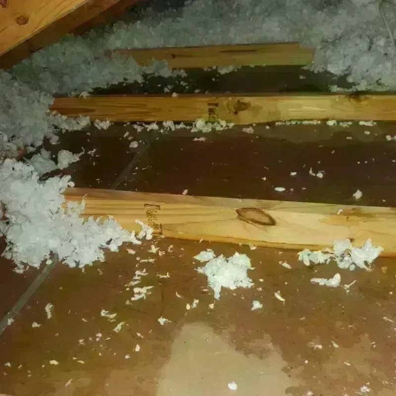 Attic Water Damage in Kingman County, KS