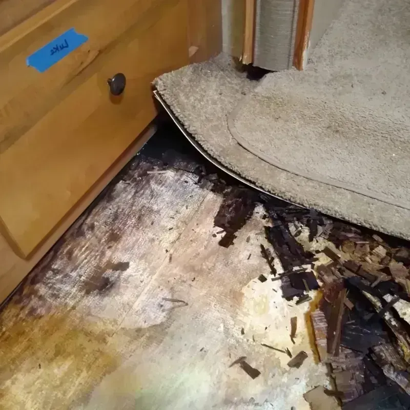 Wood Floor Water Damage in Kingman County, KS